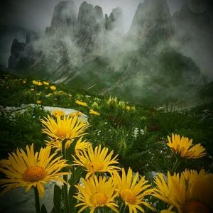 Meet your Posher, Shay